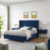 B109-TA Upholstered in durable 100% Blue Velvet nightstand Classic silver rivet elegant button tufted design with two drawer and metal legs