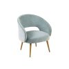 [Only support Drop Shipping Buyer] Dinah Accent Chair